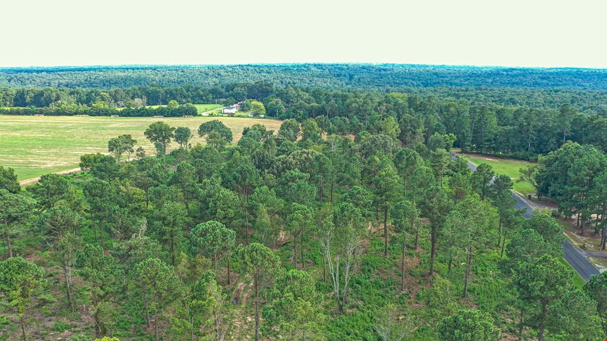 Piney Woods Acres Subdivision 29 Lots