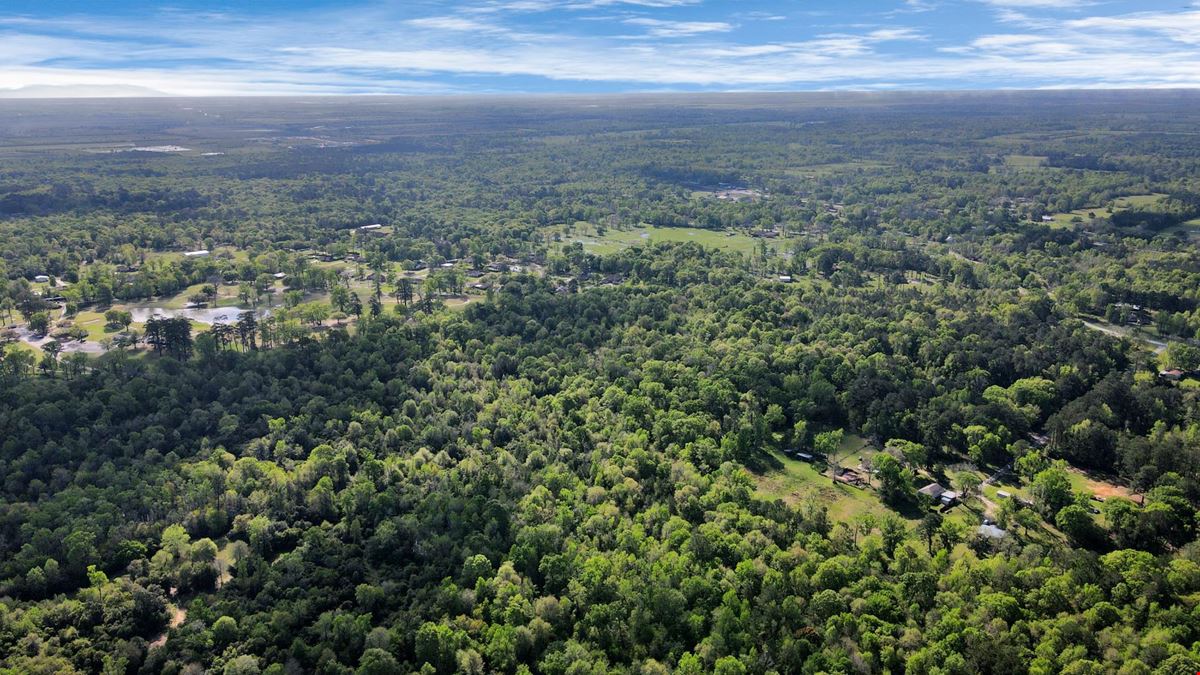 +/- 420 GOLF COURSE FRONTING LAND DEV OPP- 938 Minglewood Road, Liberty, TX 77575