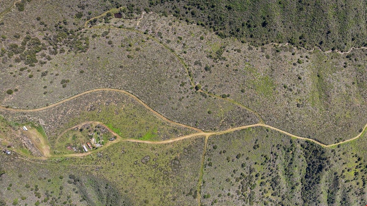 Ortega Summit
