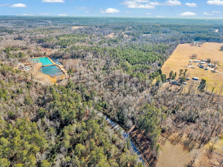 221 Acres | 3.14 Acre Pond | Hephzibah, GA