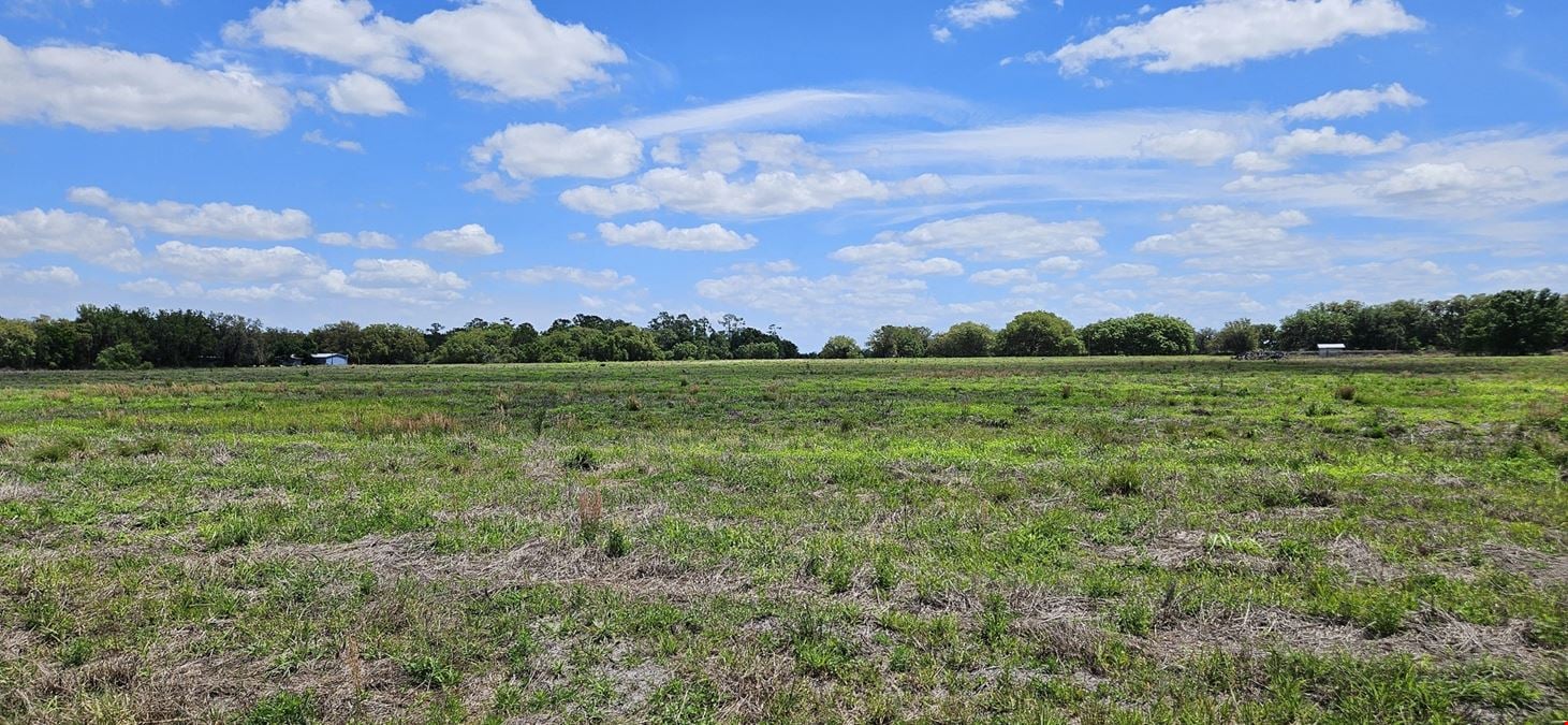38± Acre Frostproof Grove | Residential Development or Agricultural Opportunity