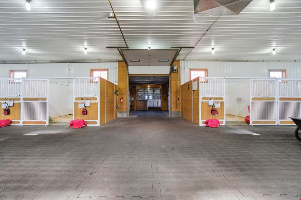 World-Class Equestrian in Central Alberta (Canada)