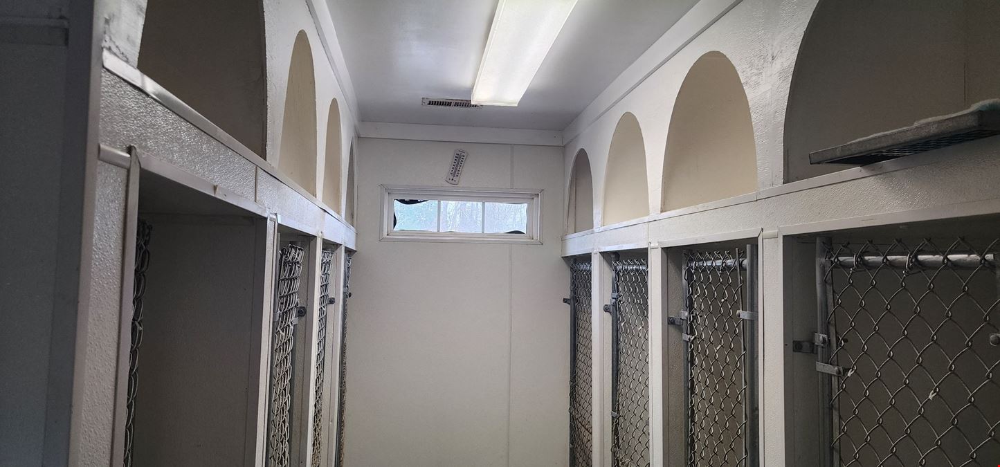 Retail - Medical - Veterinarian - Day Care