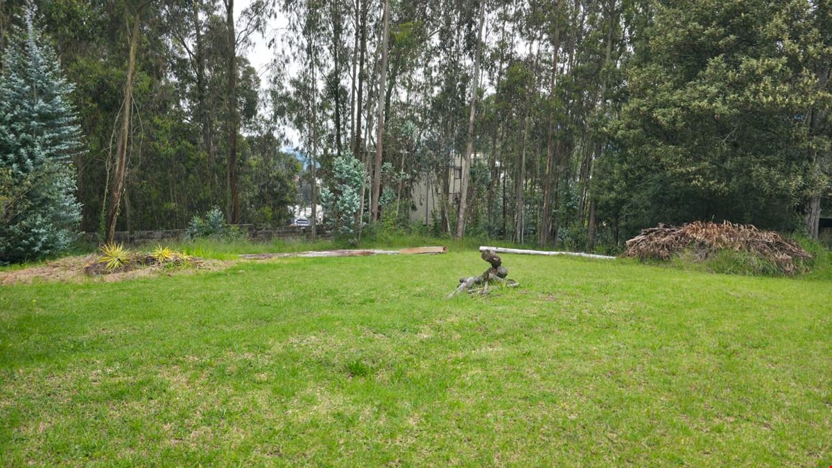 Bromelias: Terreno 2940m², Inversión Segura.