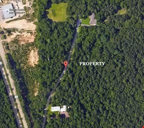 Land in Florence | 20 Acres with Access on HWY 49