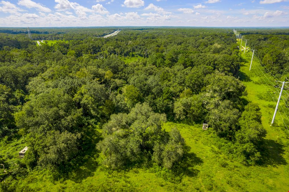 48.54 Acres on I-75