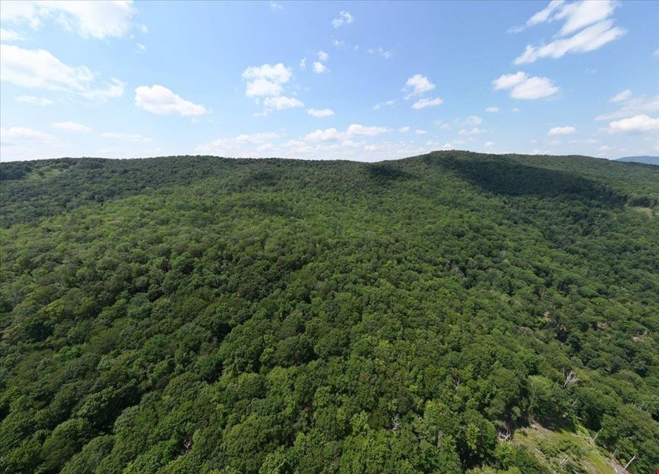 173 ACRES MOUNTAIN-SIDE LAND