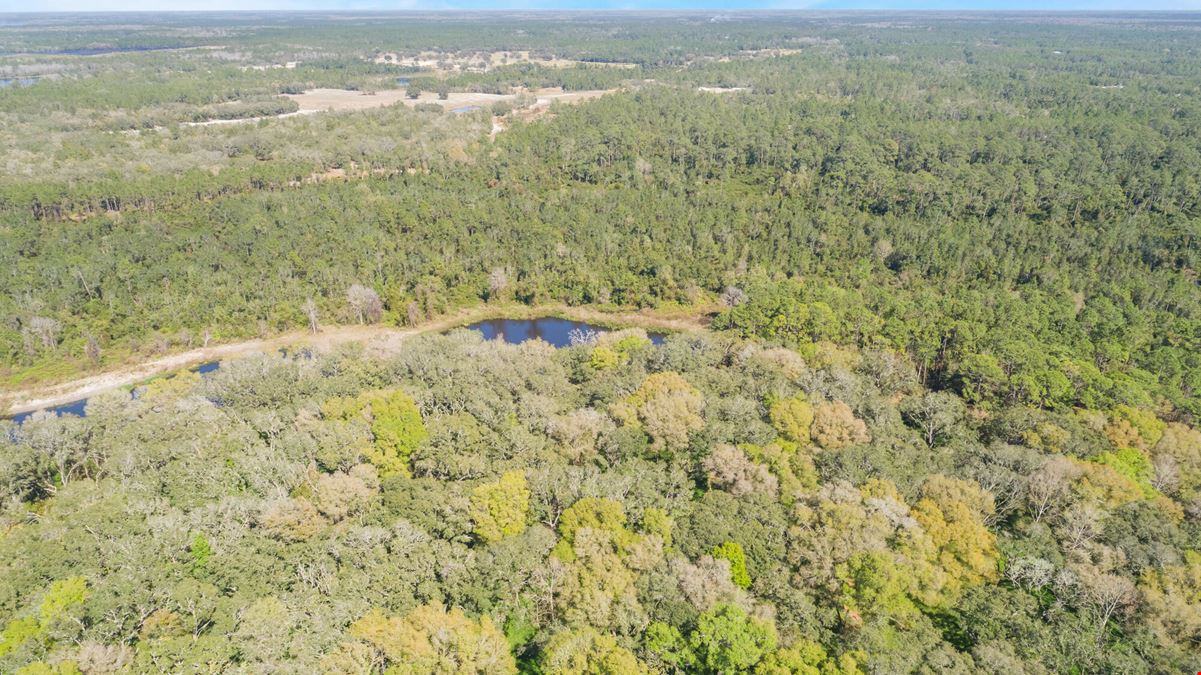 Shaw Lake Rd