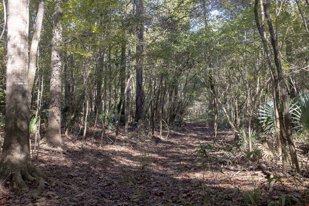 Dodge County River Property