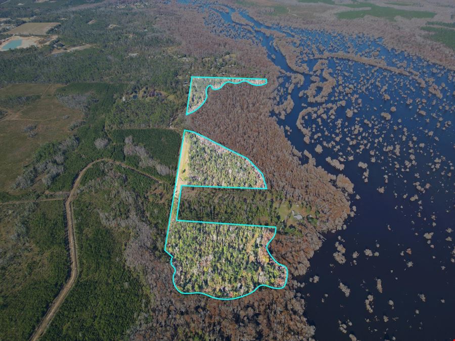 765 Acre Dead Lakes Tract Gulf County