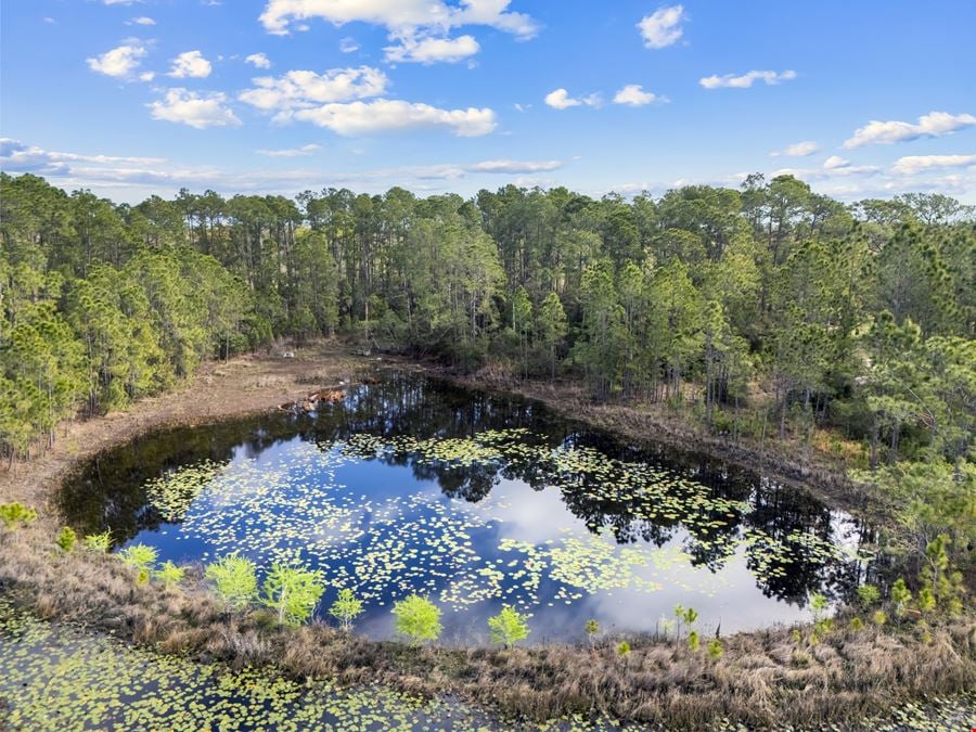 Frank von Frankenstein 21 Acre Development Tract