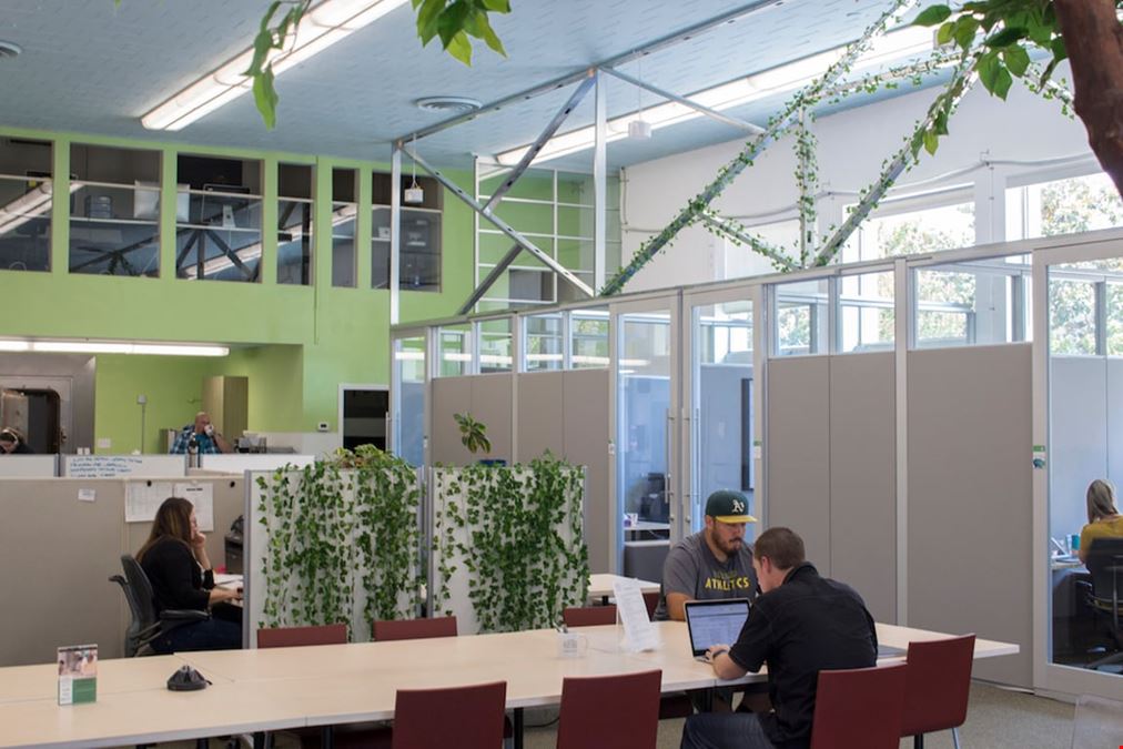 Greenhouse Coworking