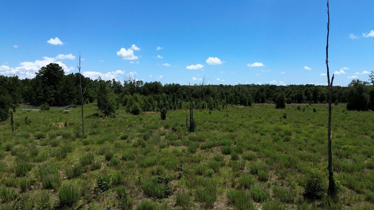 25.5 +/- Acres in Horse Country