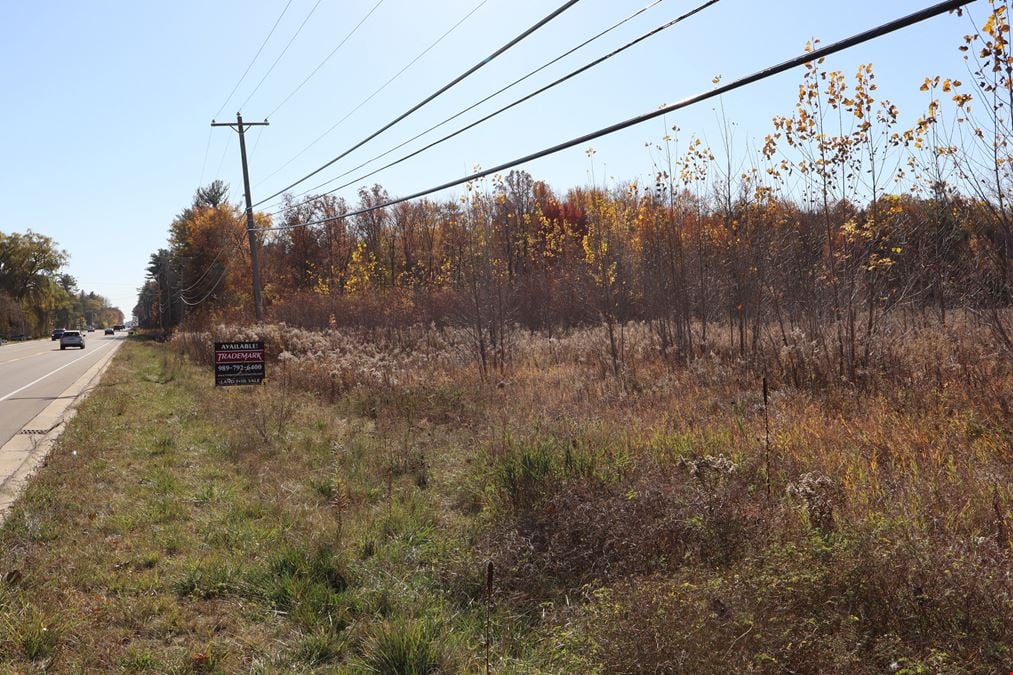 LAND FOR SALE! 23 ACRES!