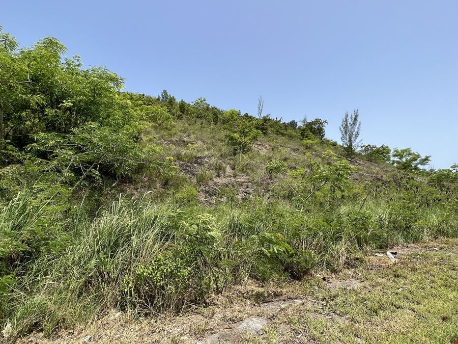 Vacant Land in Lajas - FOR SALE