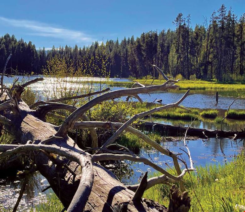 Big Creek Meadows Ranch