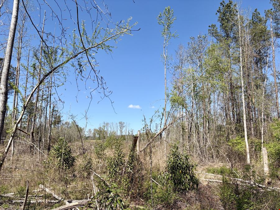 Georgiana Recreation Tract