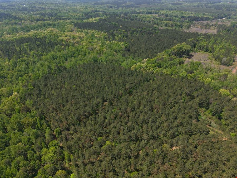 225.48 Acres - Picketts Bridge Estates