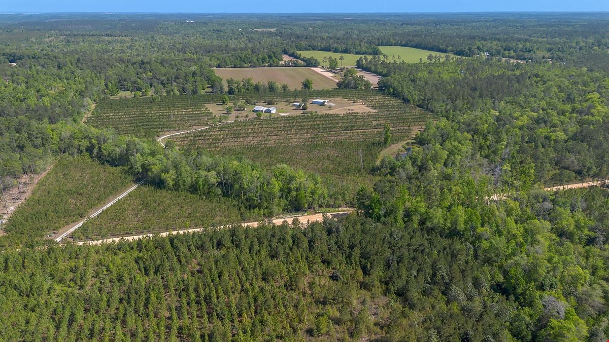 41+/- AC Residence, Farm, Timber + 1200 SF & 1800 SF storage buildings