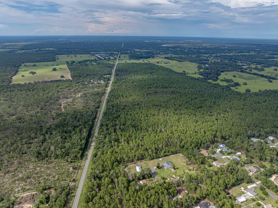 Floral City 205 Acres