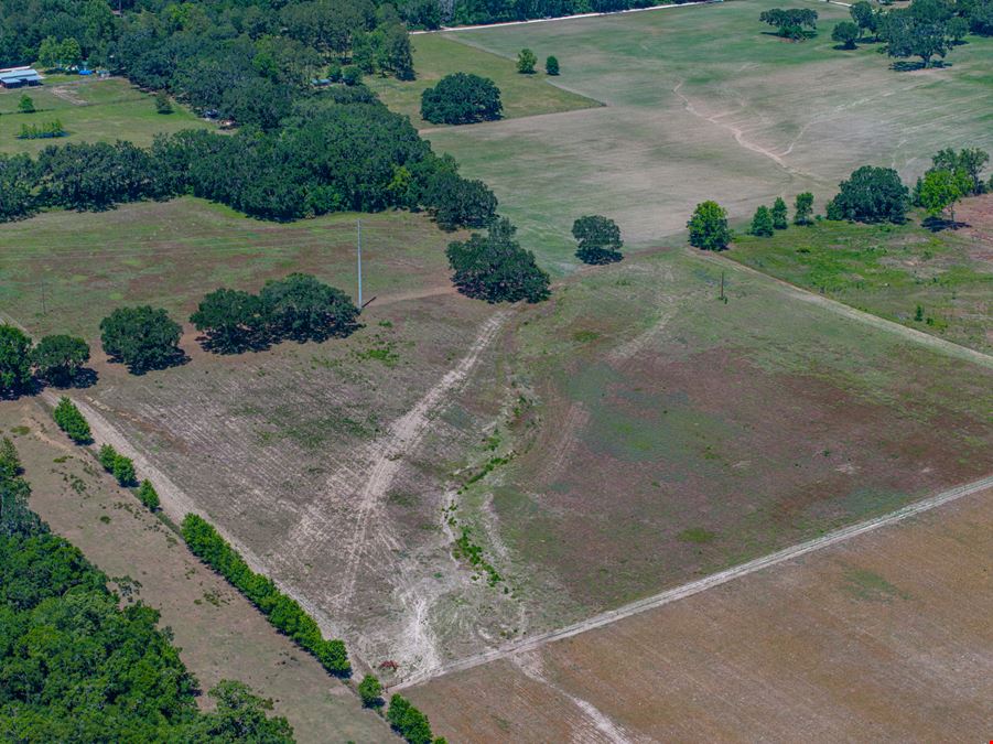 Alachua Transitional Acreage