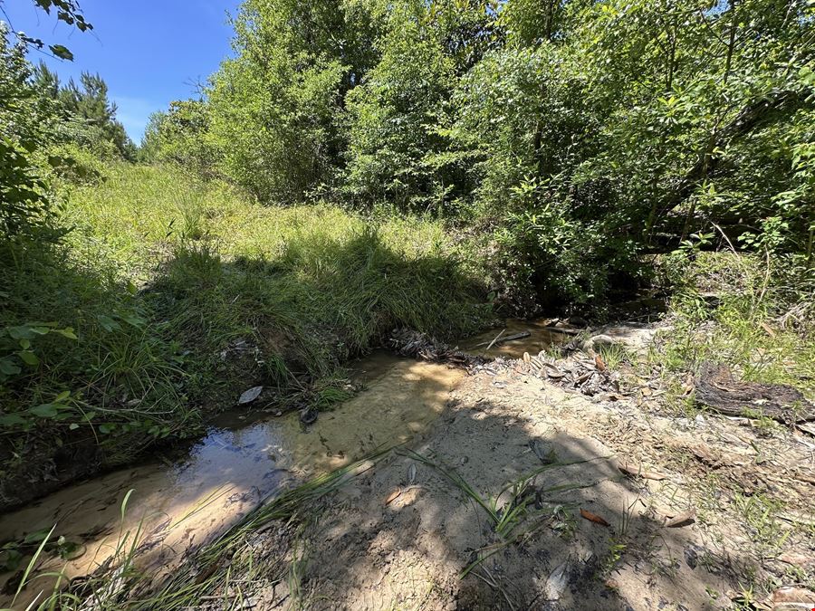 Cowpen Hunting Tract