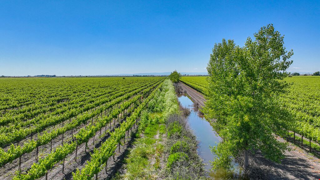 Clarksburg Vineyard Land
