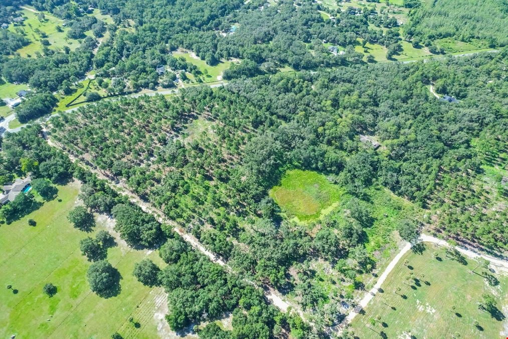 C.R. 439 - 20 Acres