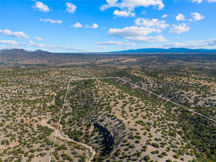 7 Rancho de Shama