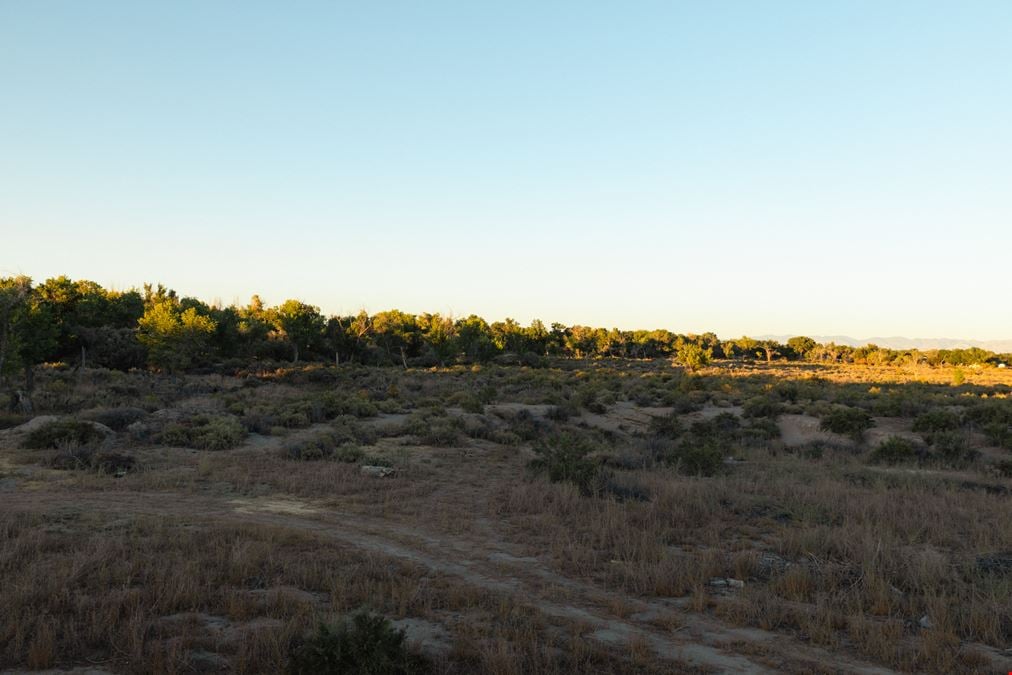 For Sale
