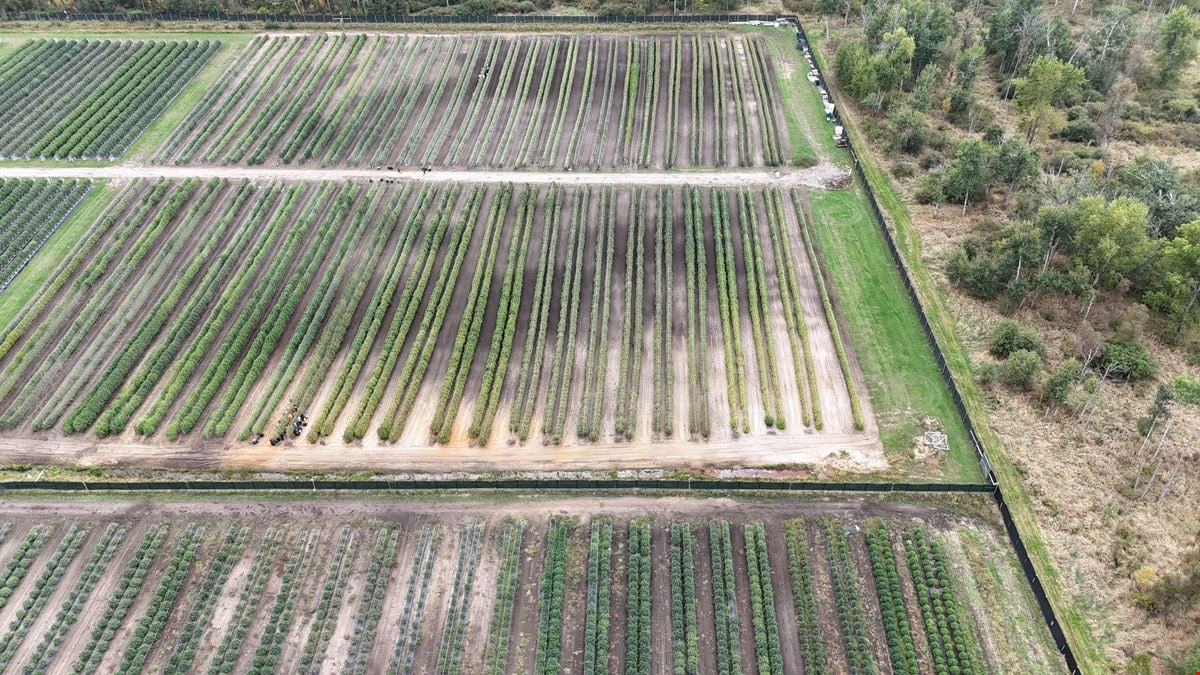 Tawas City - Former Operating/Turnkey Cannabis Outdoor Cultivation Operation