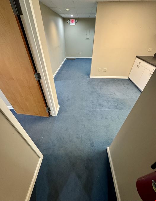 Professional Office