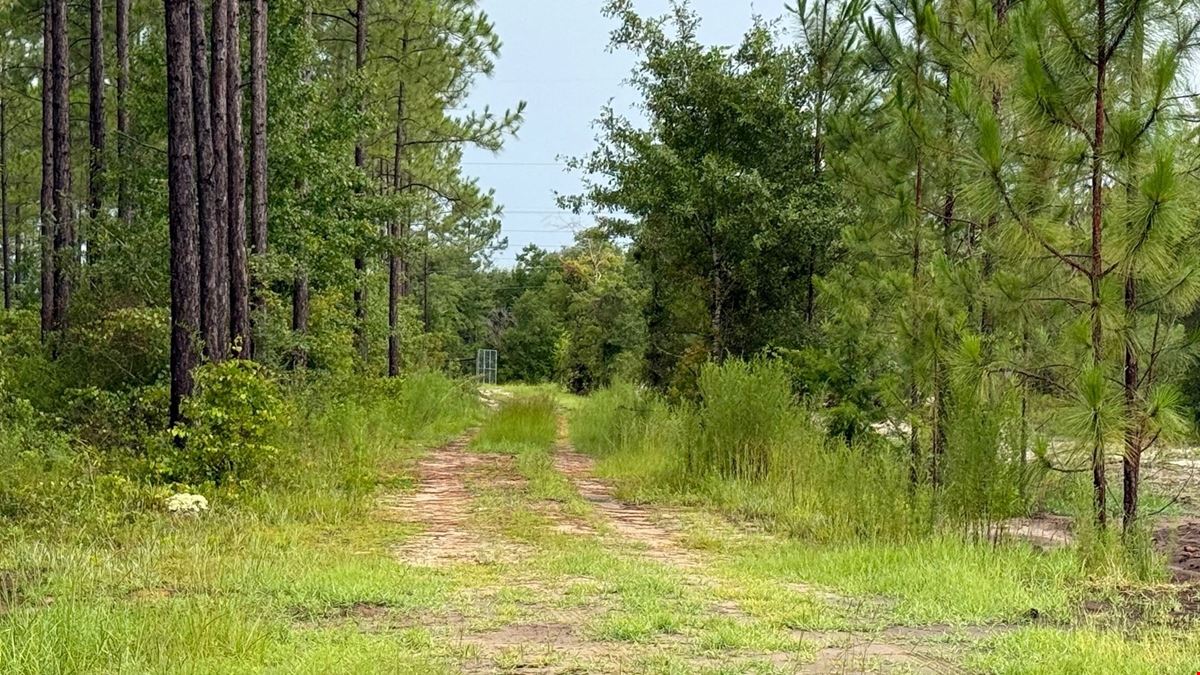 298 Acres in Fountain, FL | High-Fenced Hunting Ranch with Pond & Investment Potential