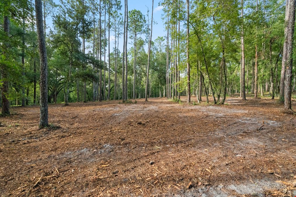 Brooksville 12 Acre Tract