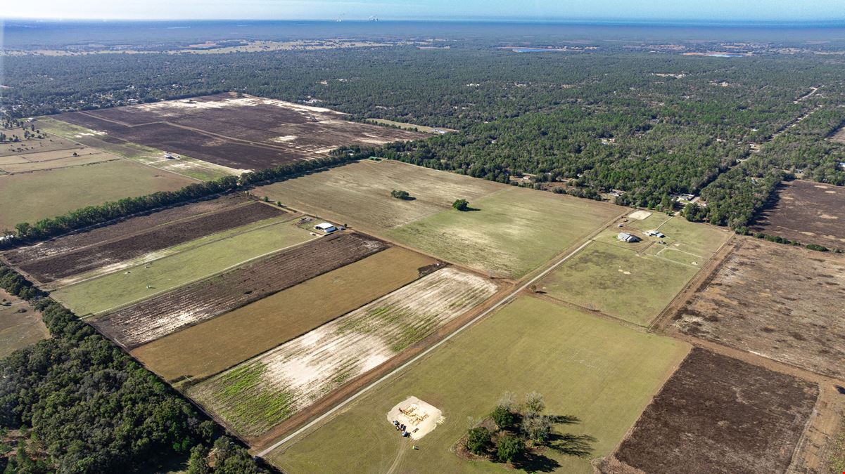 Marion County 24 Acre Ranchette and Homesite