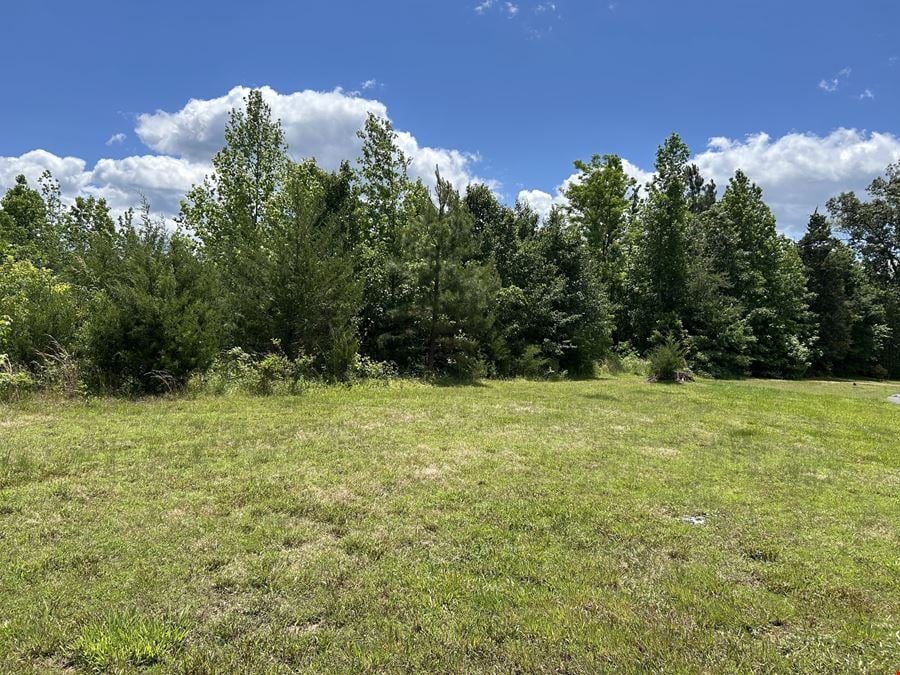 12.4 Ac SF Building Lot Goochland, Va.