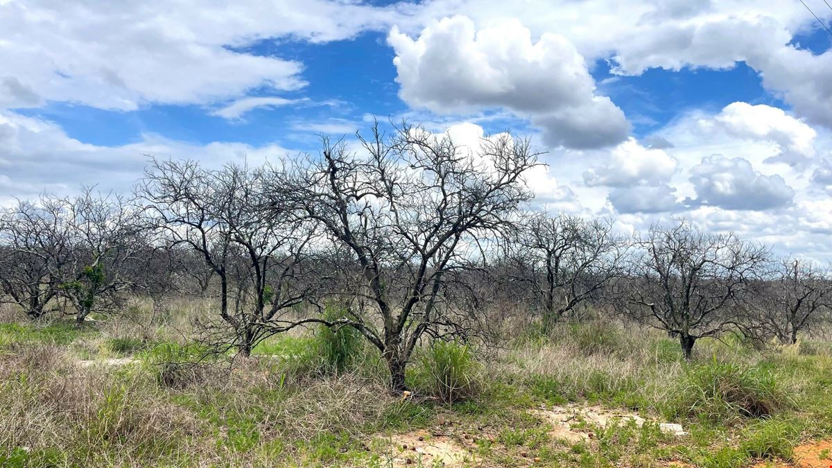 Underpass Road 74 ± Acre Land Opportunity