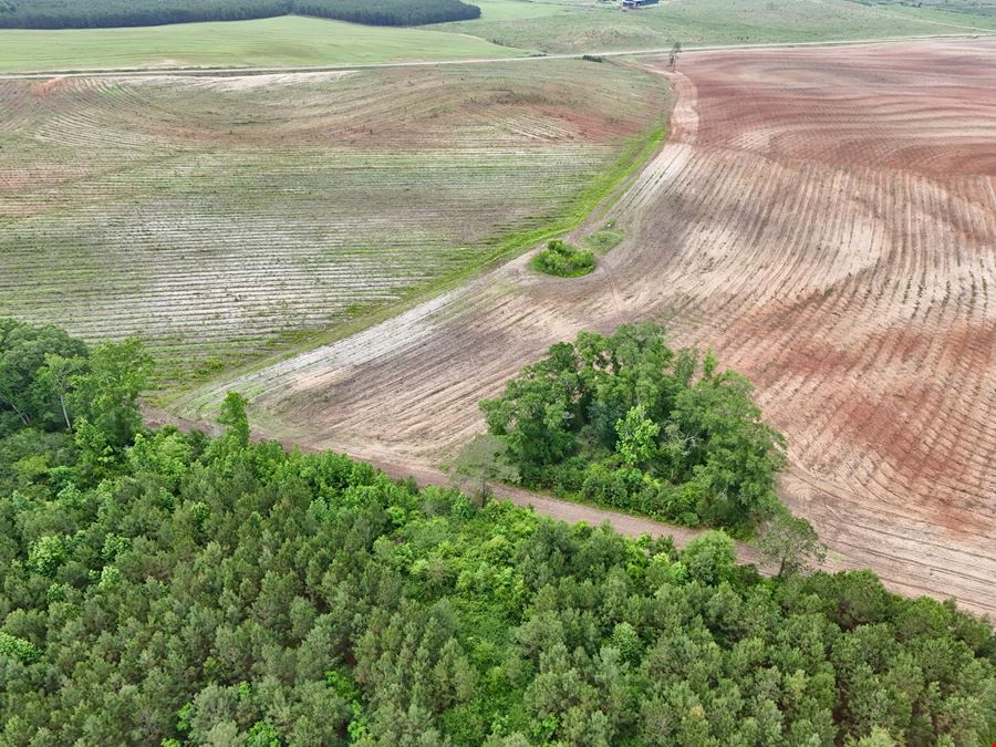 County Line Pasture Land