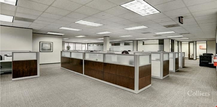 Preview of Office space for Rent at 14140 Southwest Freeway