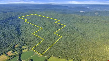 Preview of VacantLand space for Sale at County Road 170