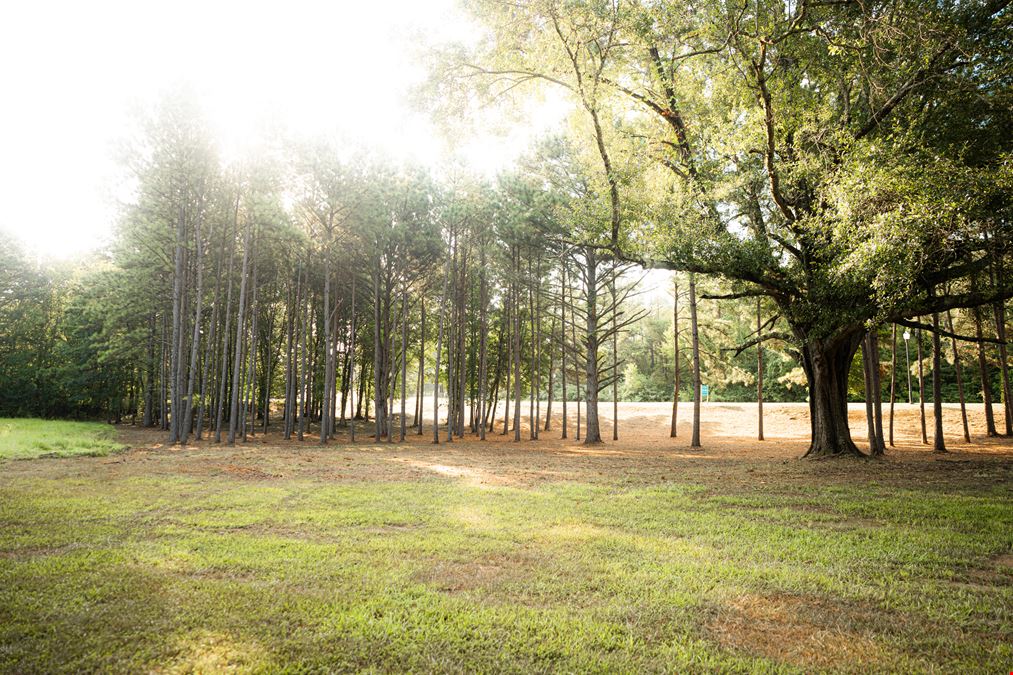 Highland Colony Parkway & Park Place - Corner Lot