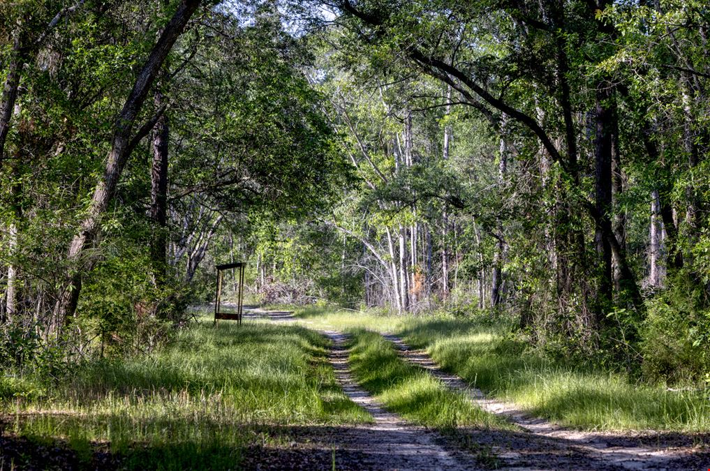 Raccoon Creek Hunting & Timber