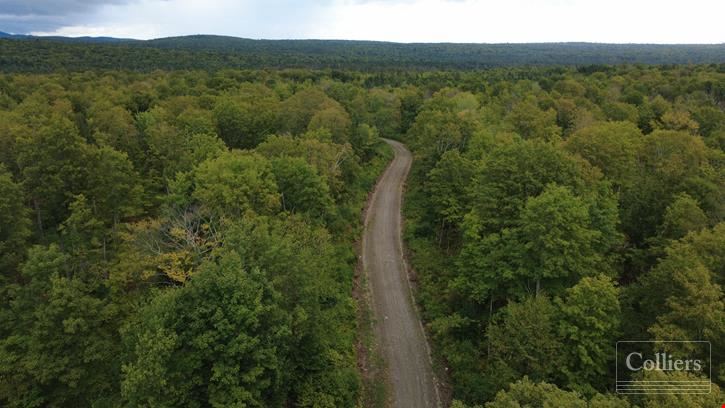 770± Acres of Undeveloped Forest