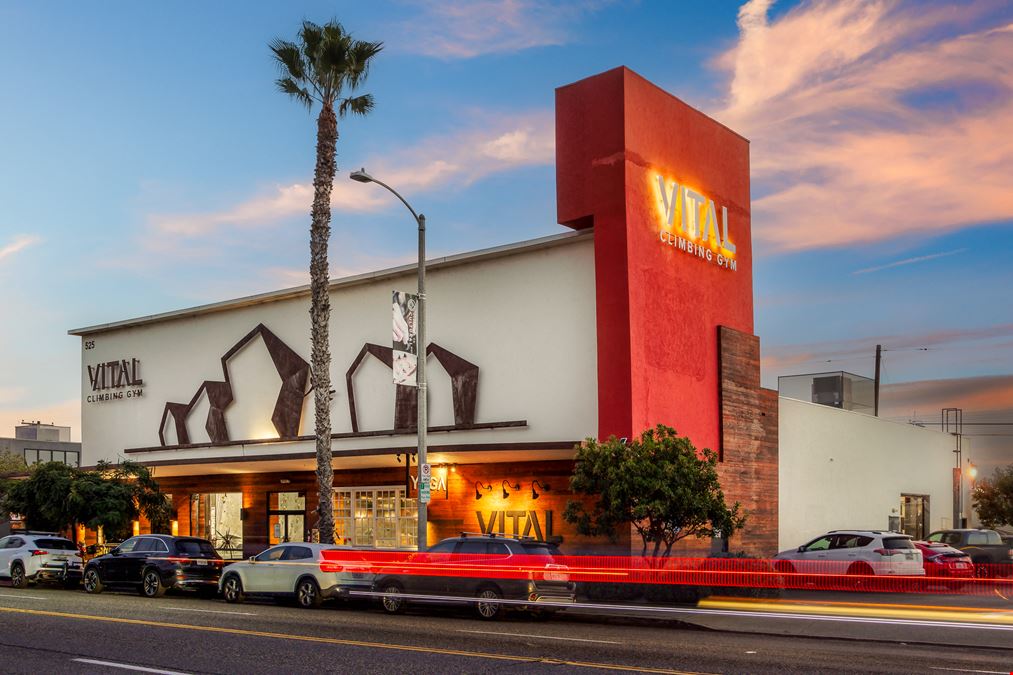 Vital Climbing Gym