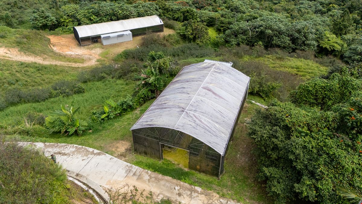 Turnkey Agricultural Operation w. Eco Tourism Potential @ Hacienda Montesol - For Sale