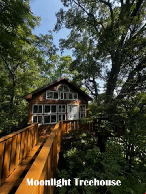 The Cottage Treehouses B&B