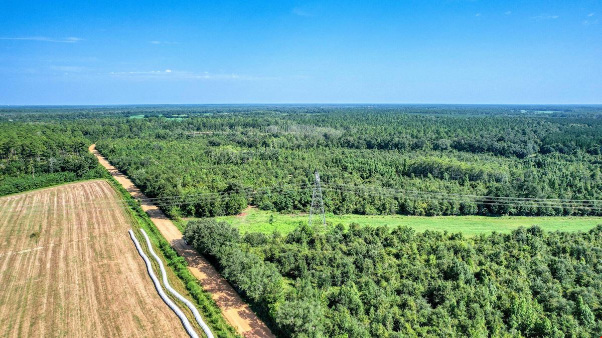 Liberty Hill Farm