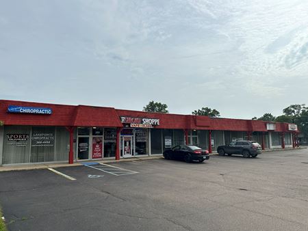 Preview of Retail space for Rent at 7918-7938 Cooley Lake Rd