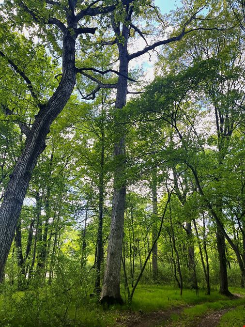 31.4 Acres of Private Recreational Land – Grass Lake/Sharon Township