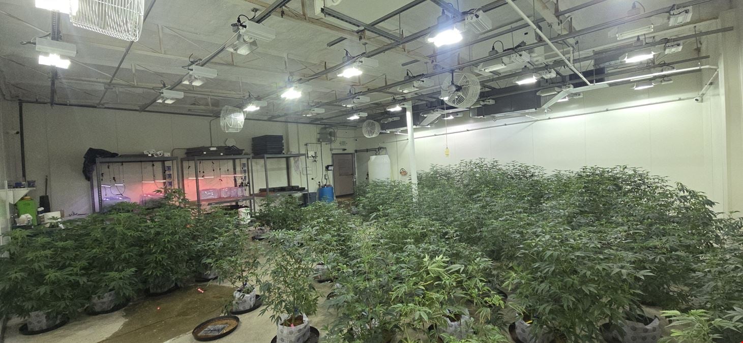 Lansing - Former Operating/Turnkey Retailer & Cultivation/Processing Facility